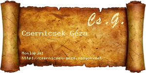 Csernicsek Géza névjegykártya